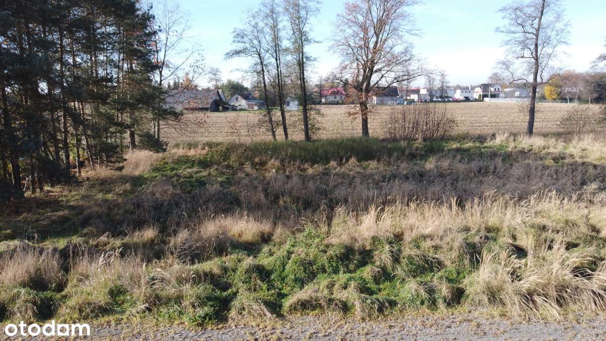 Płaska atrakcyjna działka o pow. 1250 mkw, Zaborze, gm. Chybie-6