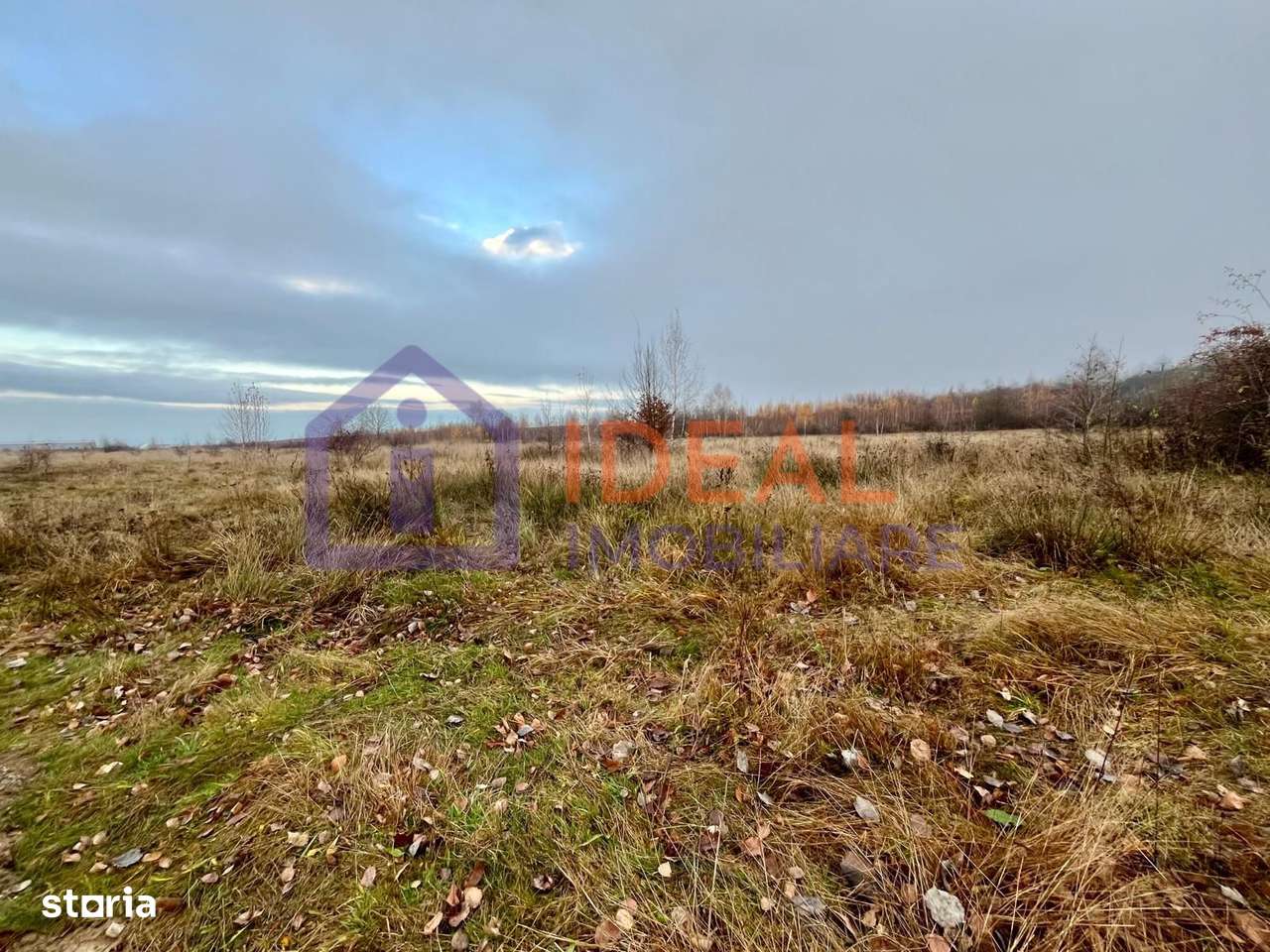 Teren extravilan 6.500 mp – două căi de acces, Cârțișoara-4