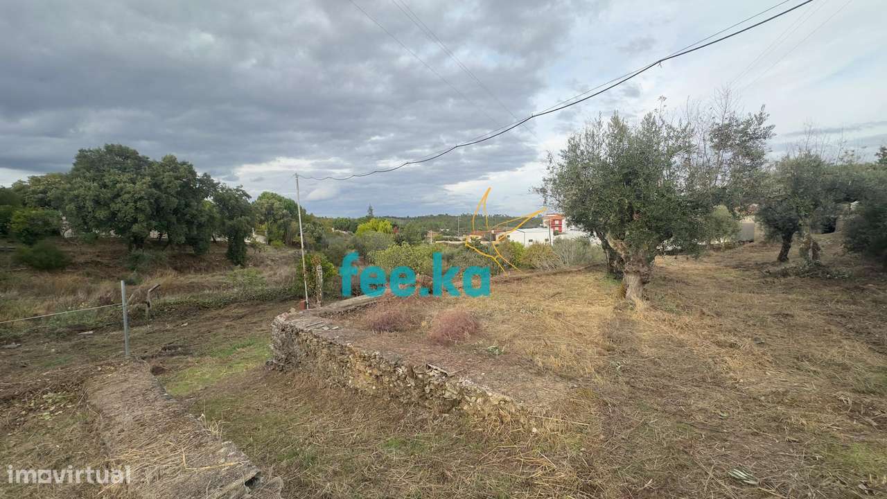 Quintinha-11