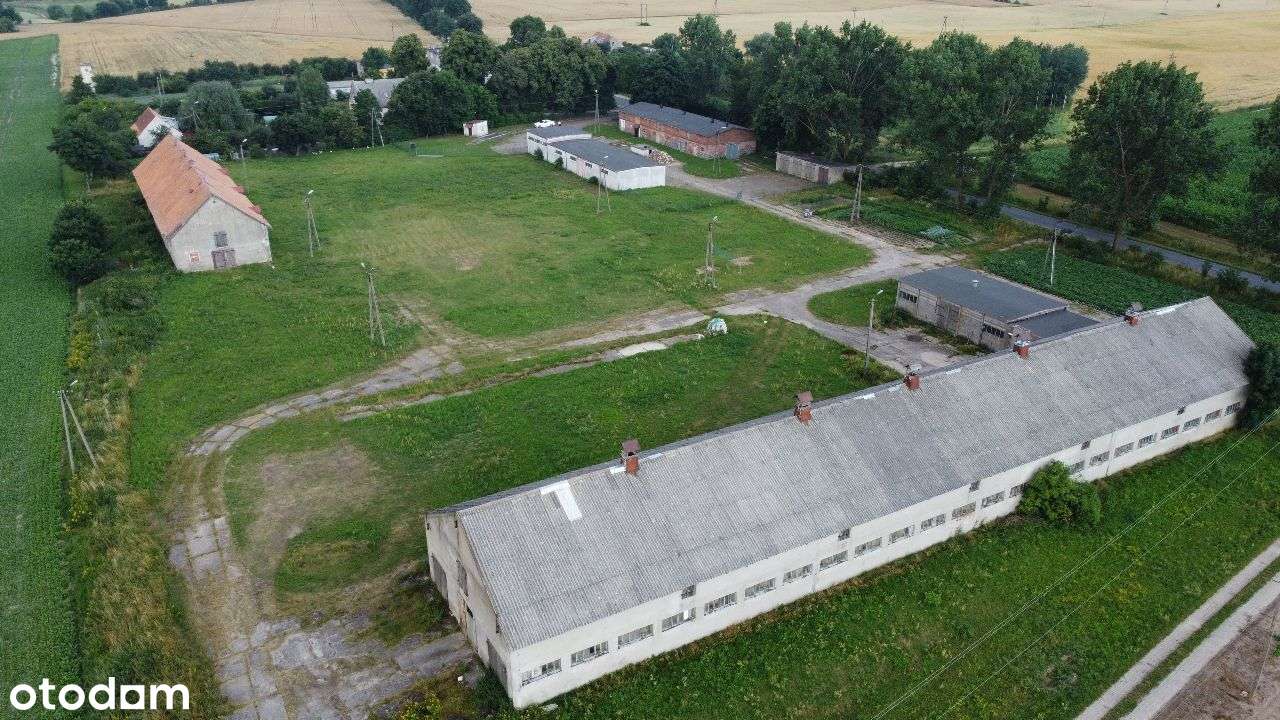 Orlinek/hale 4091m2 /działka 20584m2/ogrodzona - Pełny obrazek: 4/10