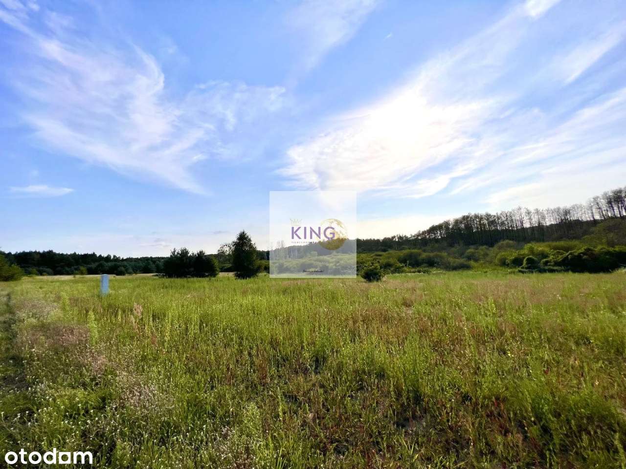 Działka rekreacyjna nad jeziorem w Baniach - Pełny obrazek: 4/5