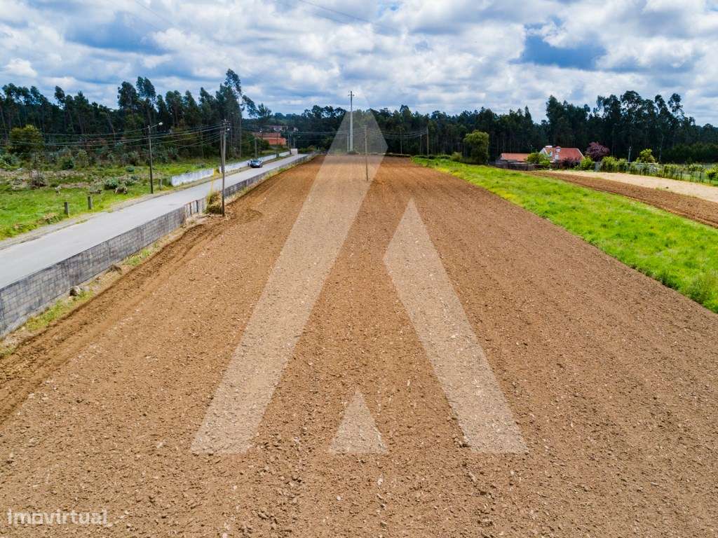 Terreno plano para construção - Junto acessos A29 e Santa Maria da ... - Grande imagem: 3/27