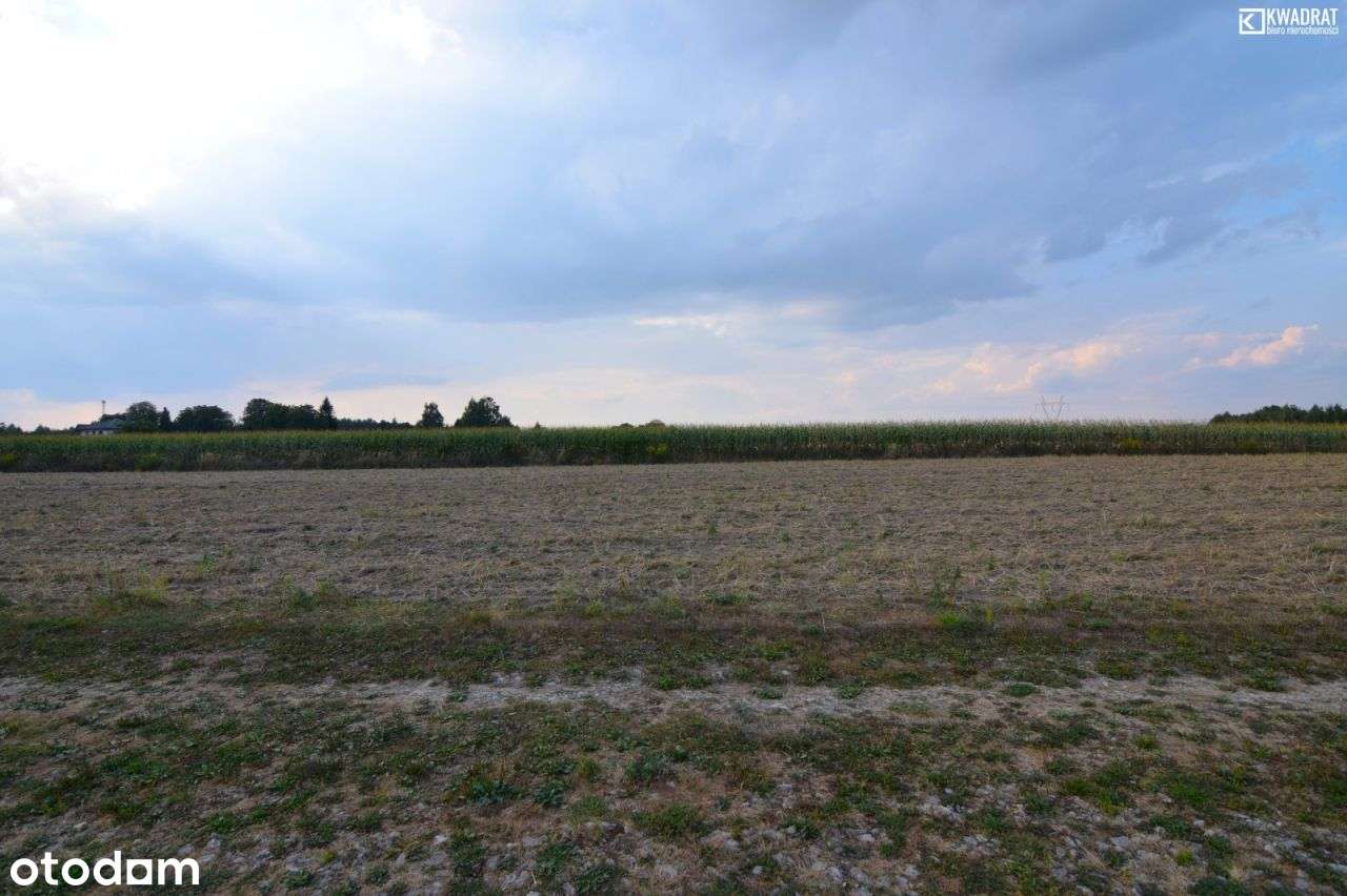 Motycz/ działka zagrodowa z wz/ 30 ar - Pełny obrazek: 4/6