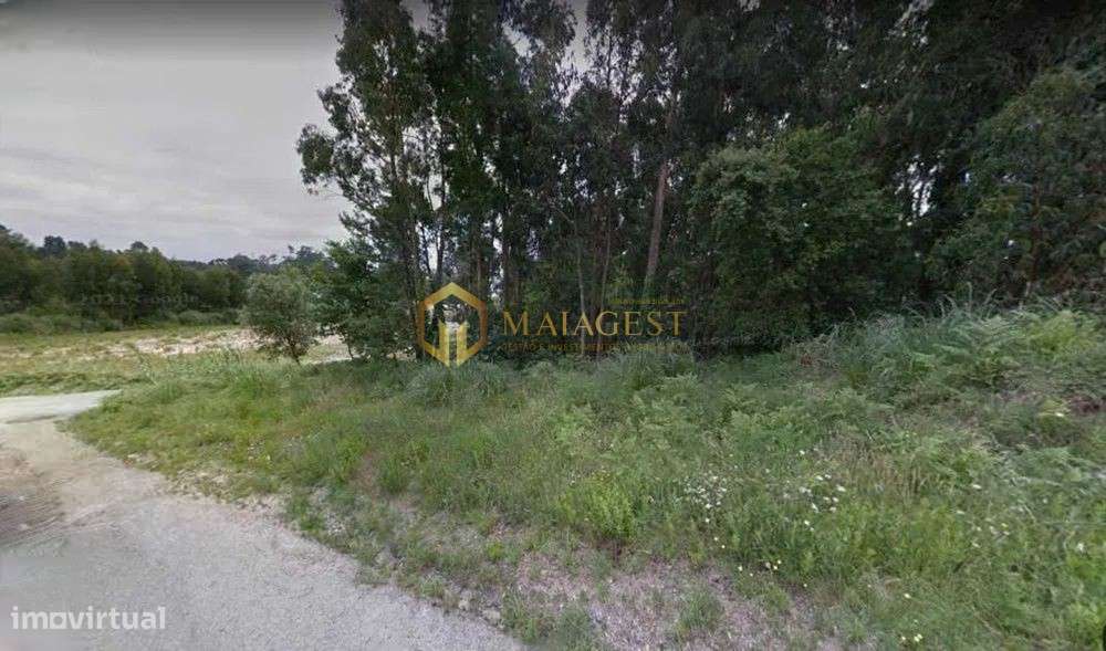 2 Lotes de Terreno para construção de Moradia em Madalena - Grande imagem: 5/5