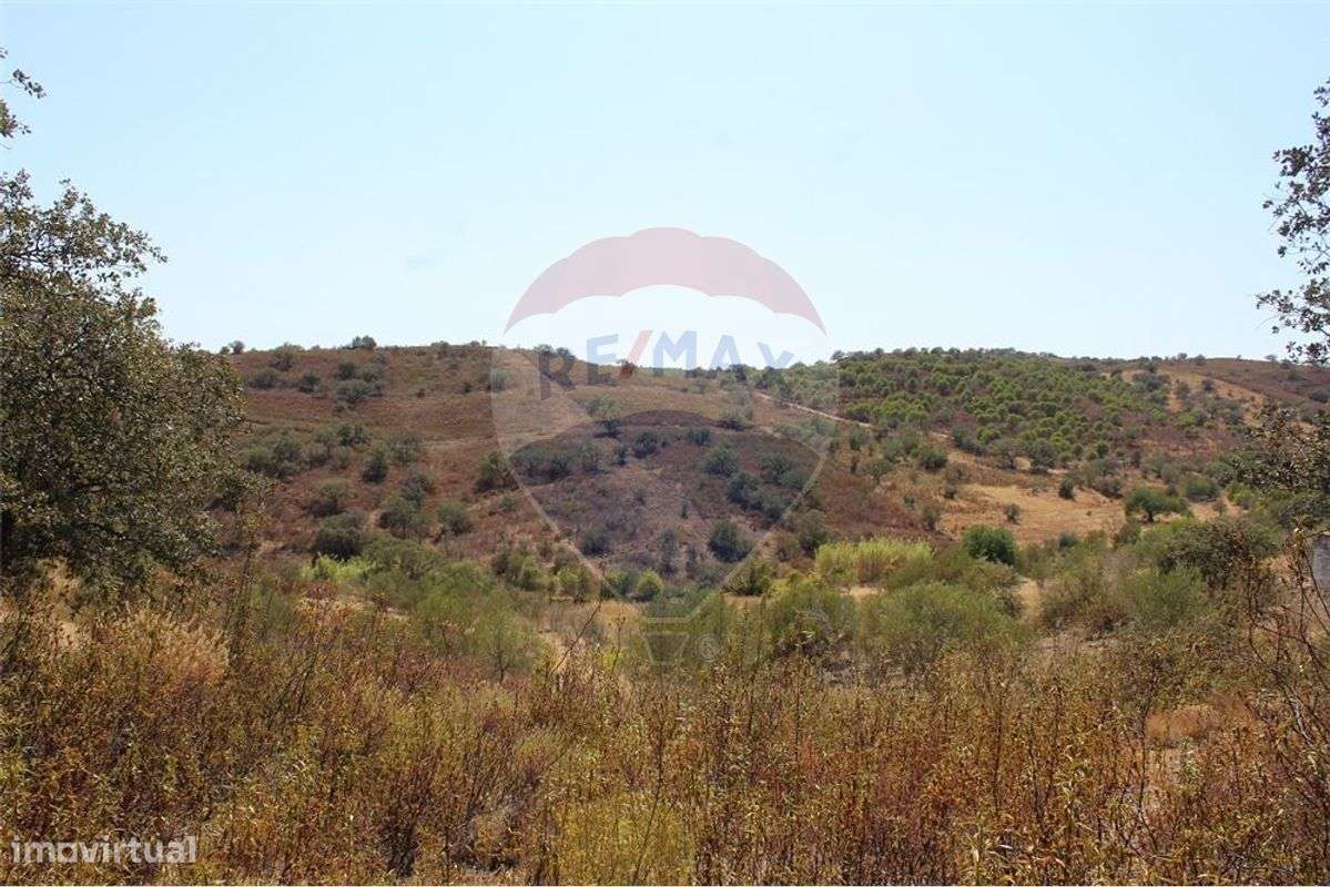 Terreno  para venda - Grande imagem: 4/6