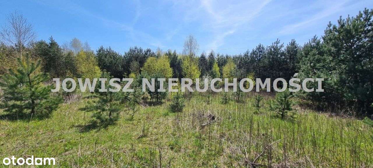 Działka Koleczkowo z warunkami zabudowy 369 tys. z-5