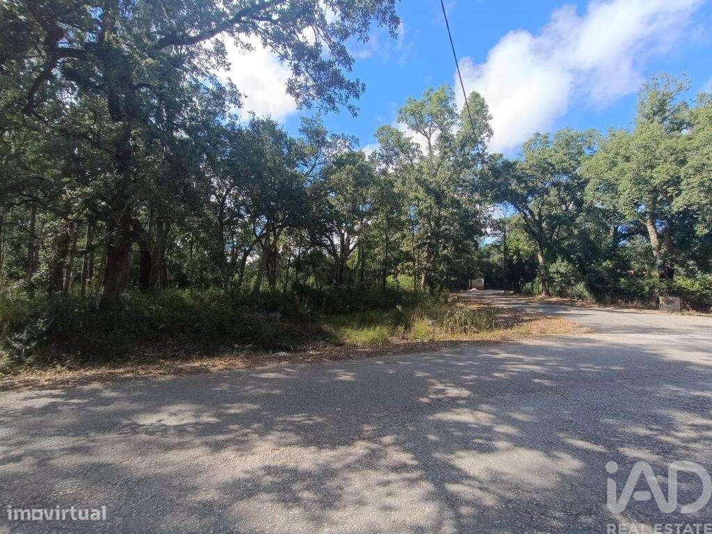 Terreno em Aljubarrota de 2112,00 m2 - Grande imagem: 3/27