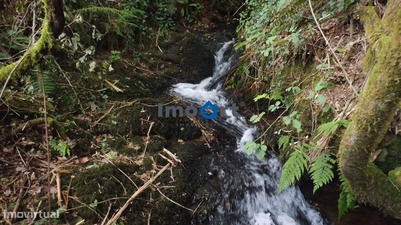 Quinta/Moradia em Pedra com 5.500 m² de Terreno em Fornelos – Ponte-15