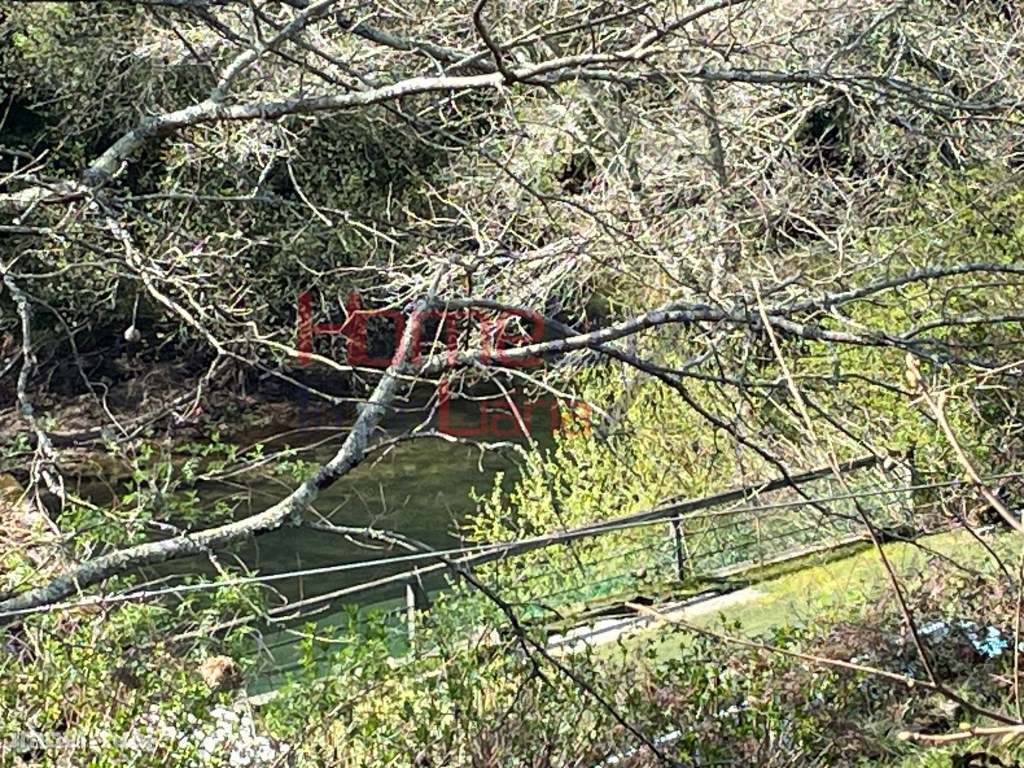 Quinta junto ao Rio Caima-25