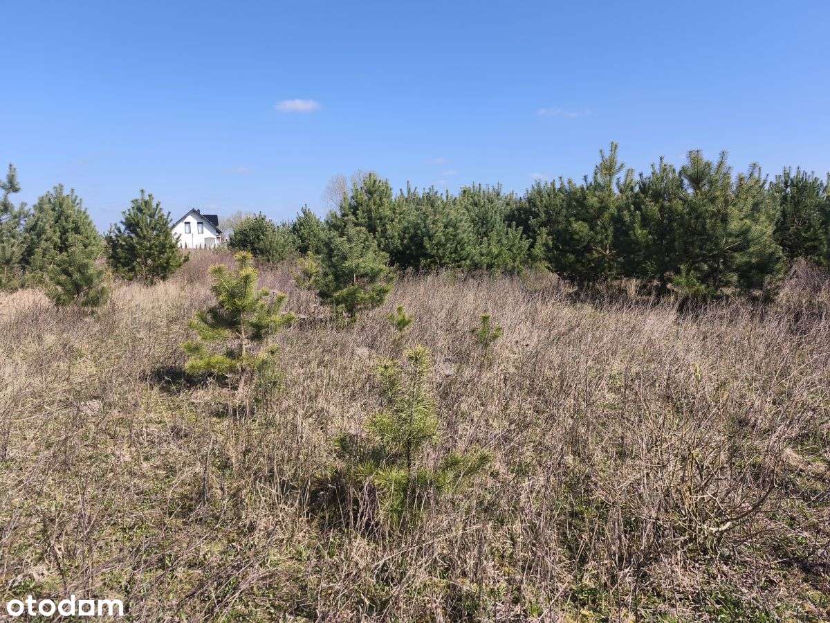 Działka z wydanymi WZ Grzybowo - Pełny obrazek: 4/8