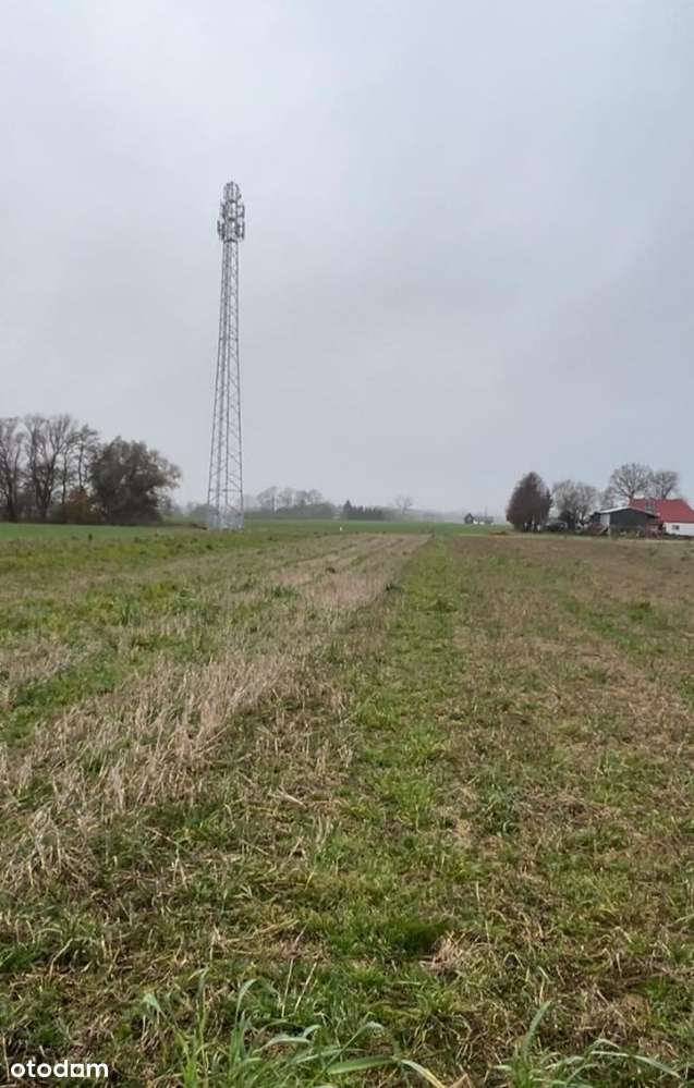 Łekno budowlana do morza 6 km, do lasu 200 metrów raty, brak prowizji-4