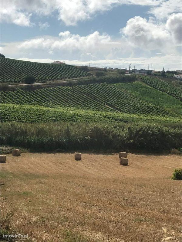 Terreno  para venda