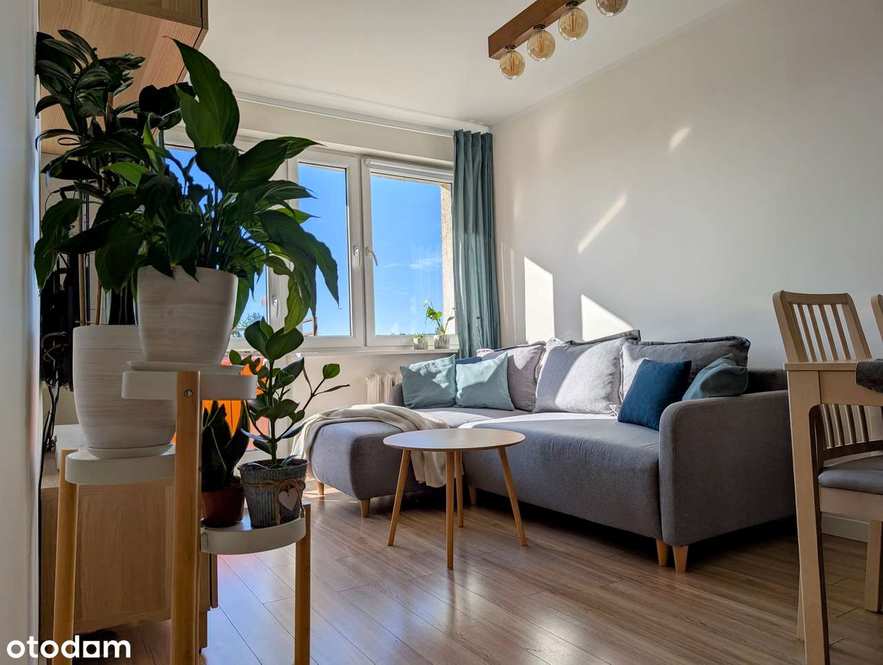 4 POK. 65M2 | PO KAPITALNYM REMONCIE | Winiary / PST | Parking (umowa) - Pełny obrazek: 1/13