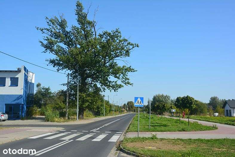 Sprzedam 2 działki inwestycyjne. 6700m2 i 9300m. - Pełny obrazek: 5/5