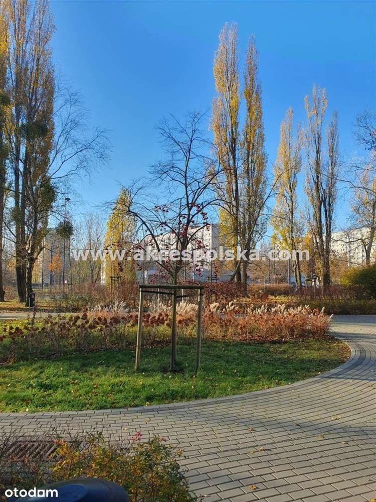 2 pokoje, rozkładowe, szybka komunikacja tramwajem-10