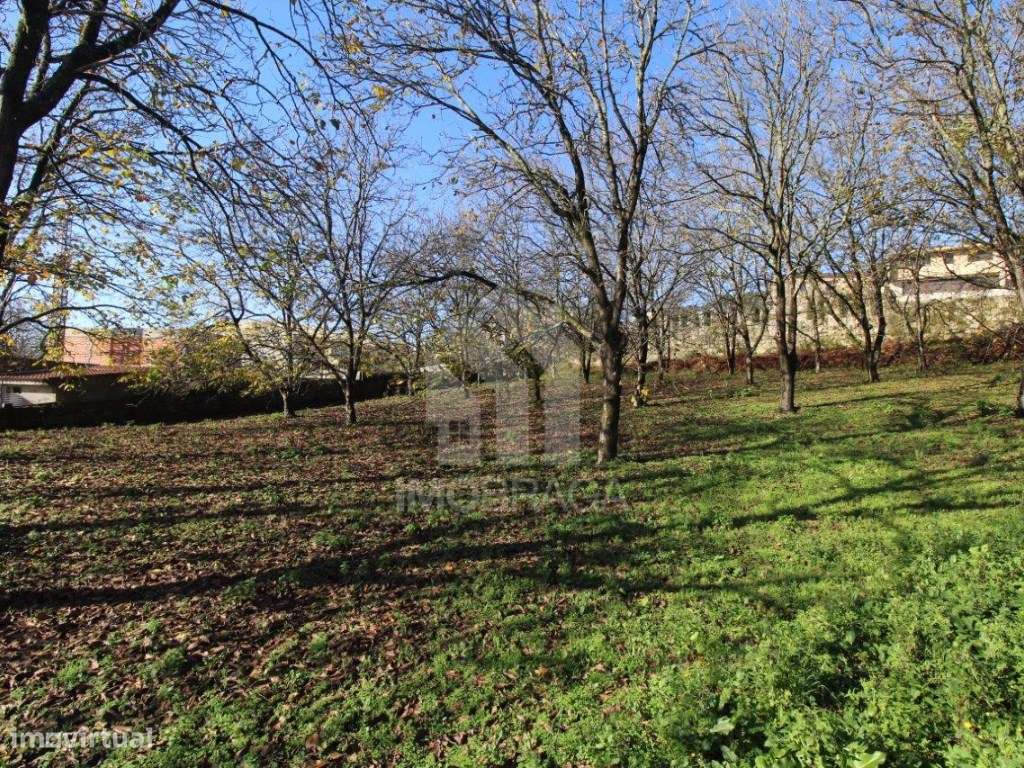 Venda de Terreno para Lotear, em Gualtar, Braga-23
