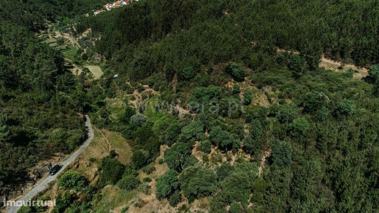 Terreno Rústico / Fundão, Bogas de Cima - Grande imagem: 5/14