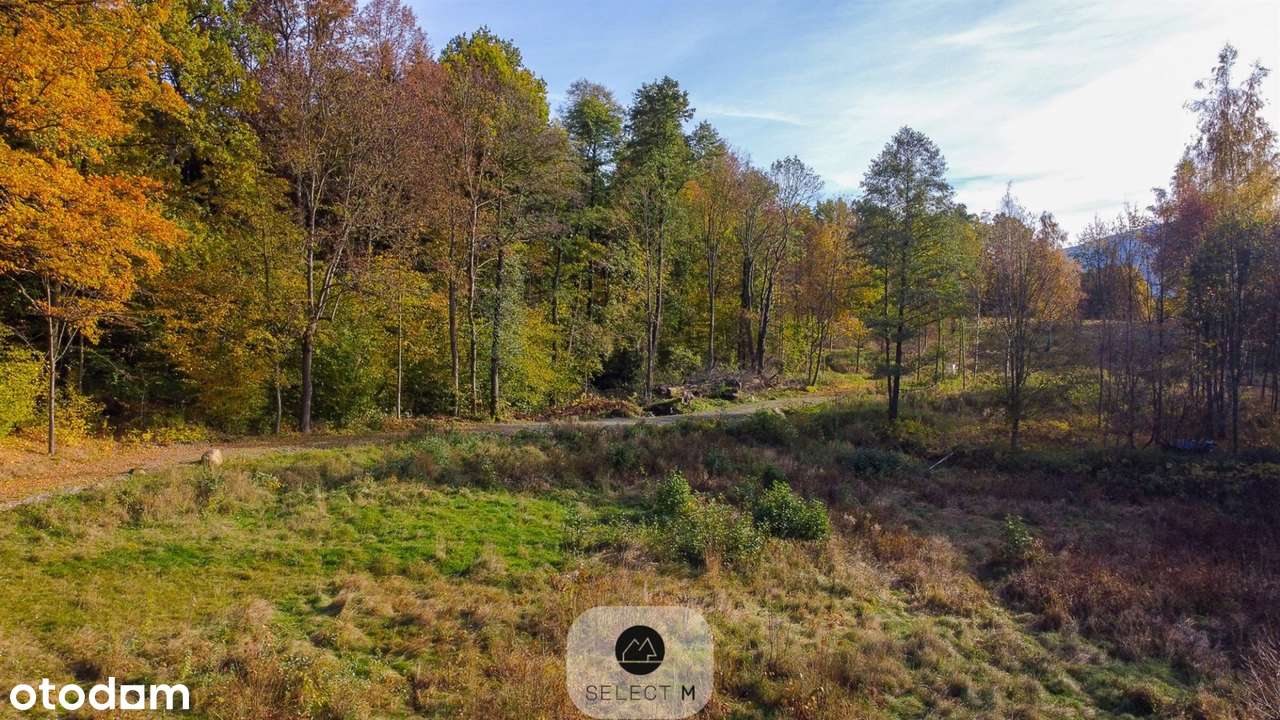 Działka w Bukowcu pod zabudowę turystyczną - Pełny obrazek: 4/8