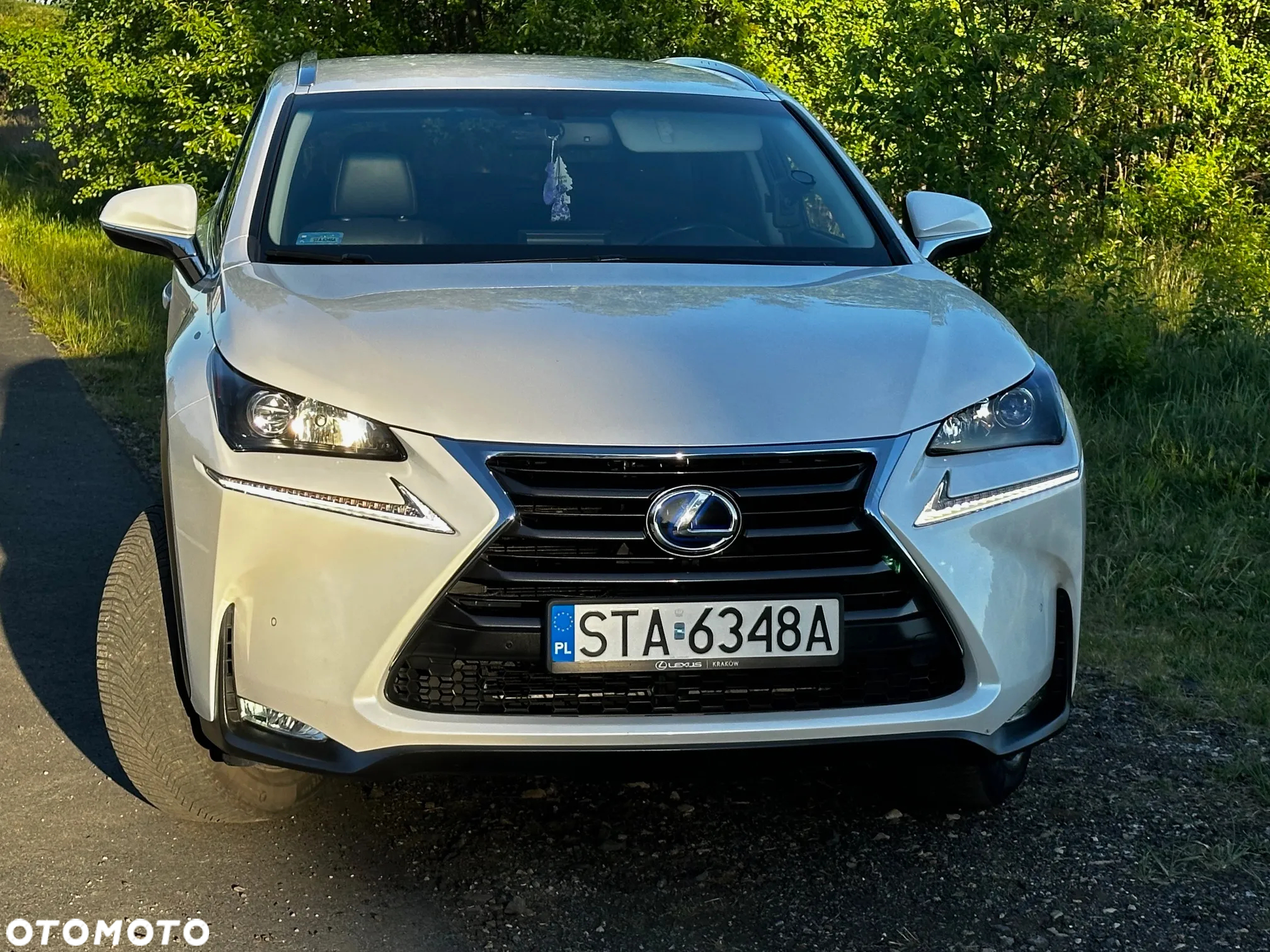 Lexus NX - 3