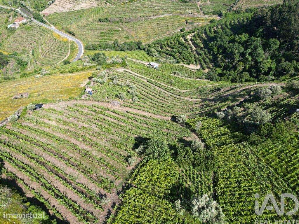 Terreno Agrícola em Samodães de 32187,00 m2 - Grande imagem: 5/9