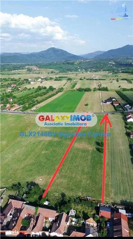 Teren De Vanzare 9900 Mp 3 km Bran 25 km Brasov - Imagine principală: 4/4