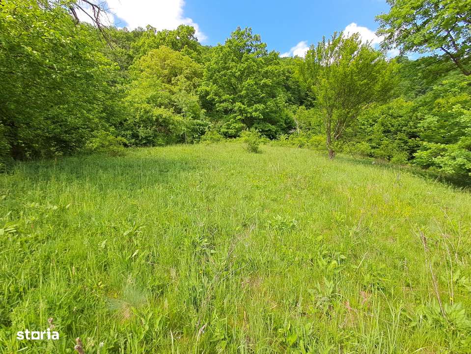 Parcelele cu cele mai bune preturi din judet-9