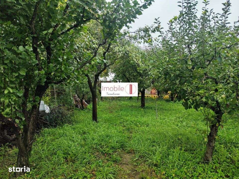 Casa versatila | zona Penny-Strand - Imagine principală: 5/19