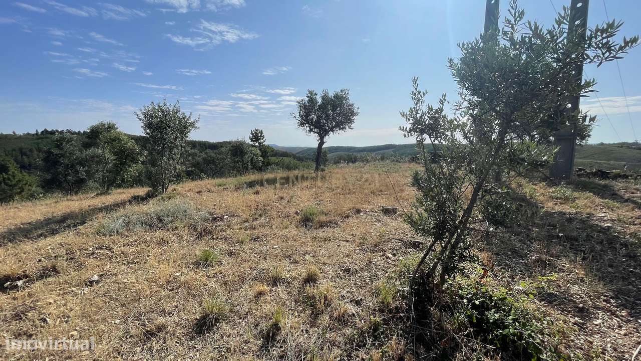 Terreno agrícola | Cebolais de Cima, Castelo Branco - Grande imagem: 5/11