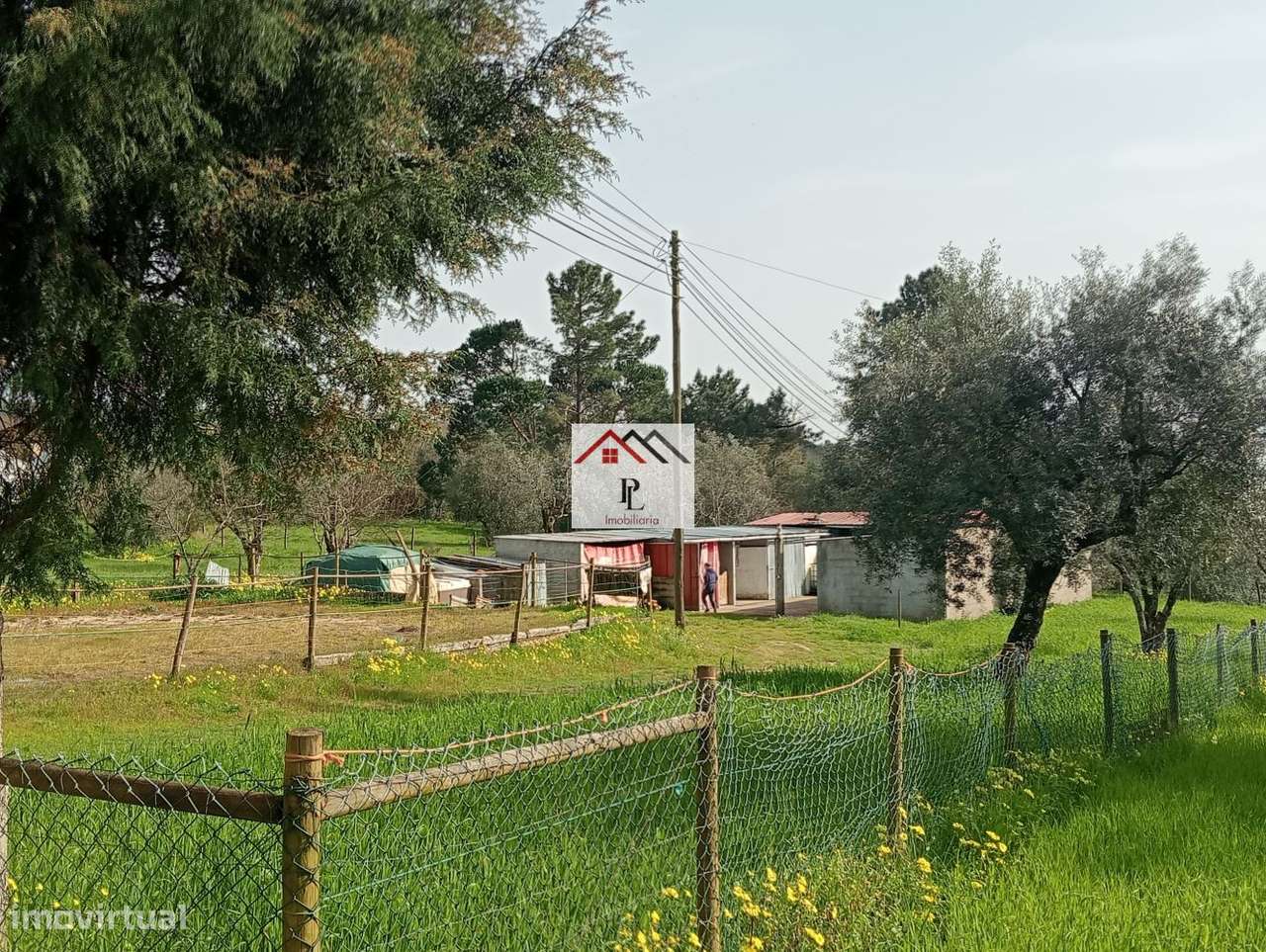 Terreno rustico em Granja de Ançã-1