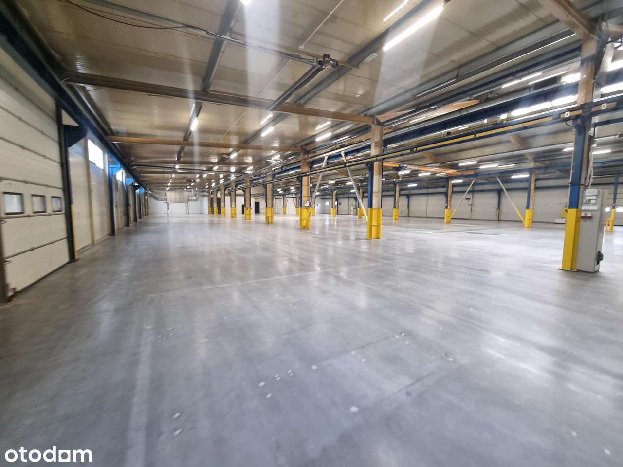 Bezpośrednio. Magazyn do wynajęcia – 2 882 m², Bugaj k. Poznania - Pełny obrazek: 4/7