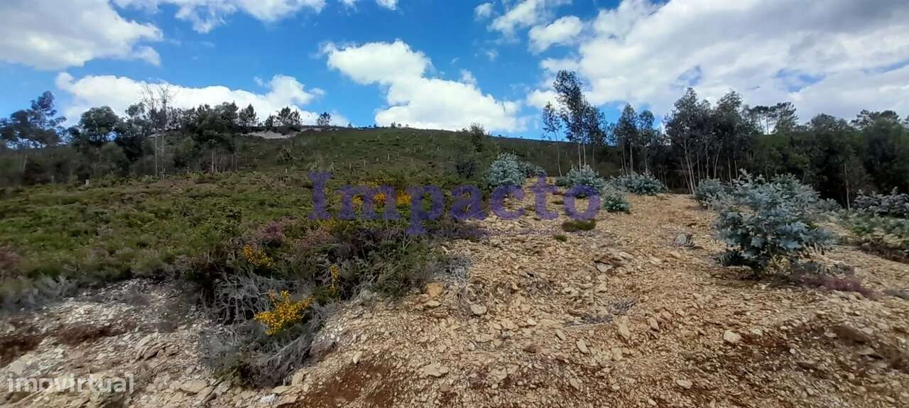 Terreno rústico em Milheirós de Poiares, Santa Maria da Feira - Grande imagem: 3/6