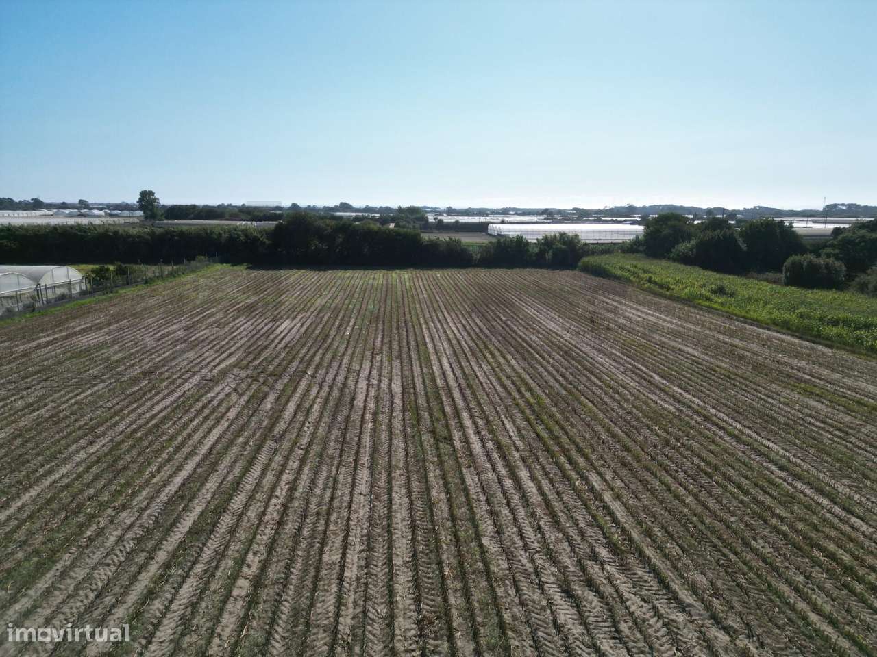 Terreno Rústico com 2,5 Hectares | Zona do Rio Alto – Estela, Póvoa de - Grande imagem: 2/24