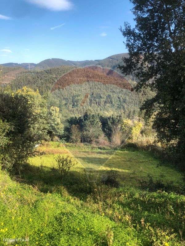 Terreno  para venda - Grande imagem: 4/5