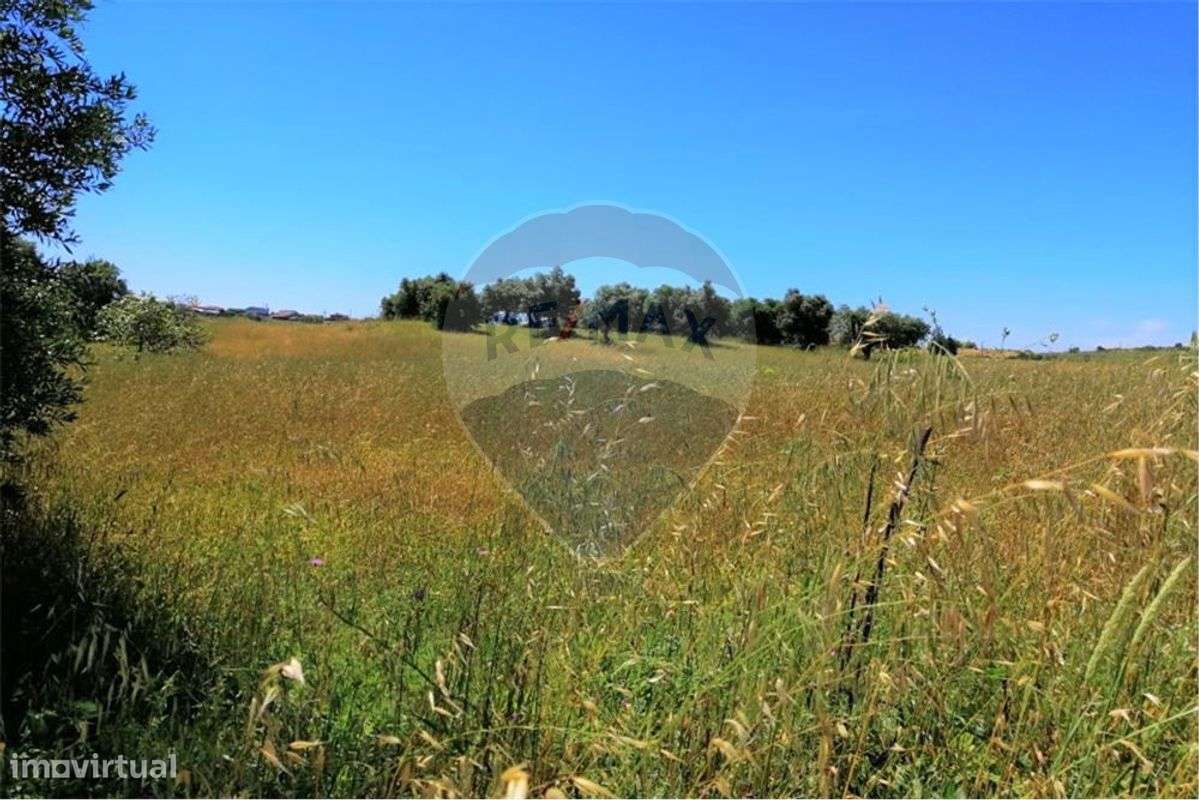 Terreno T0 para venda - Grande imagem: 5/11
