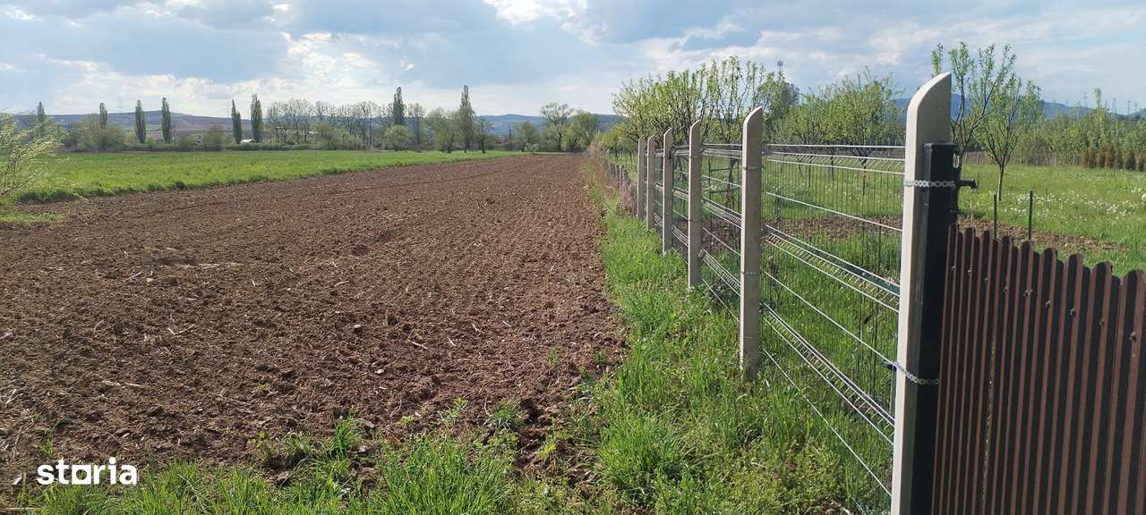 Teren Barcea Mica - Imagine principală: 1/5