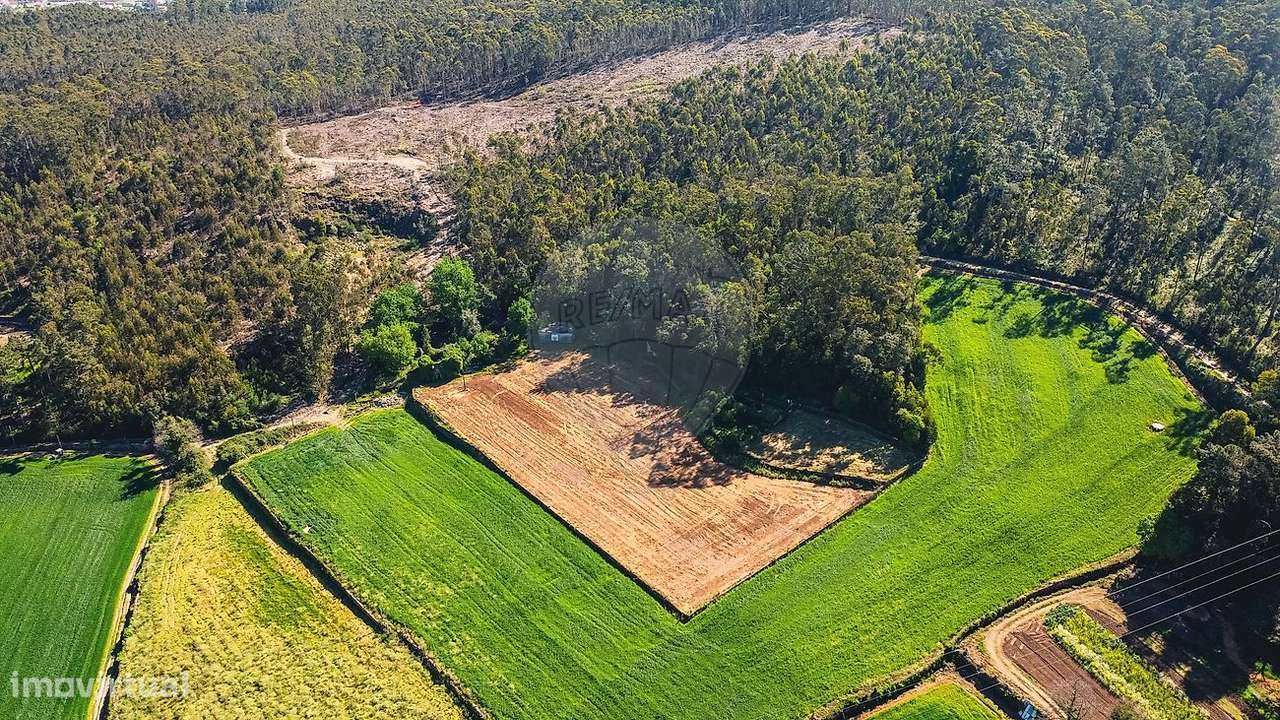 Moradia T4 para venda-8