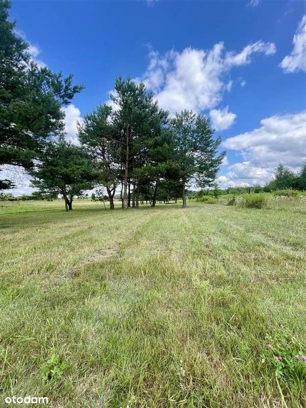 175.000 zł - 0,5 ha, Węgorzewo, gm. Sianów, z Mpzp - Pełny obrazek: 5/9