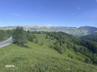 Teren 21000 mp in zona Pestera-Moieciu, la 5 km de Bran