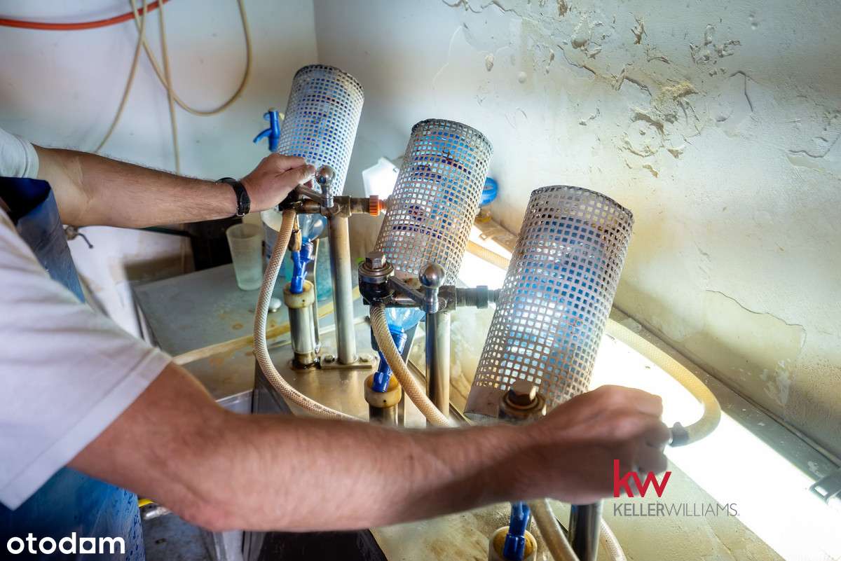 Dom z funkcjonującą od 23 lat firmą-rozlewnia wody - Pełny obrazek: 4/20