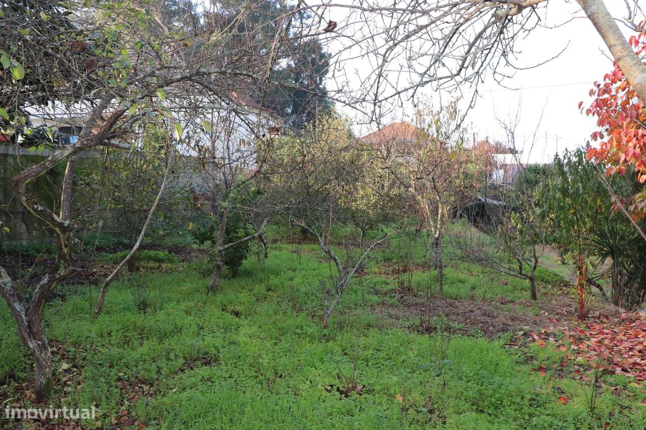 Moradia Isolada T3+3 Venda em Campo (São Martinho), São Salvador do Ca-15