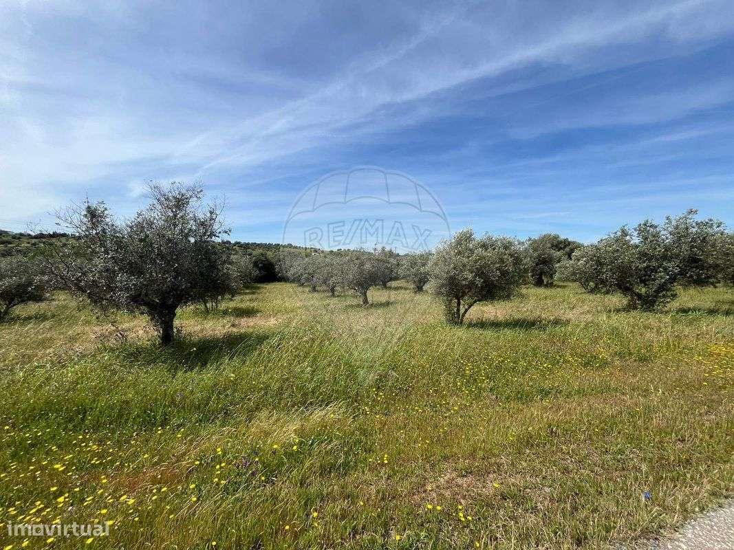 Terreno  para venda - Grande imagem: 5/12