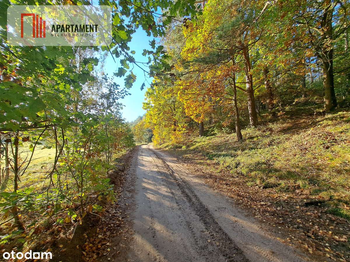 Do Negocjacji! Działka Z Inwestycją Na Przyszłość - Pełny obrazek: 4/5
