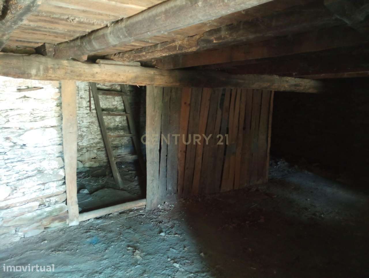 Casa em Xisto em Joaninho, Santo André das Tojeiras - Grande imagem: 5/10