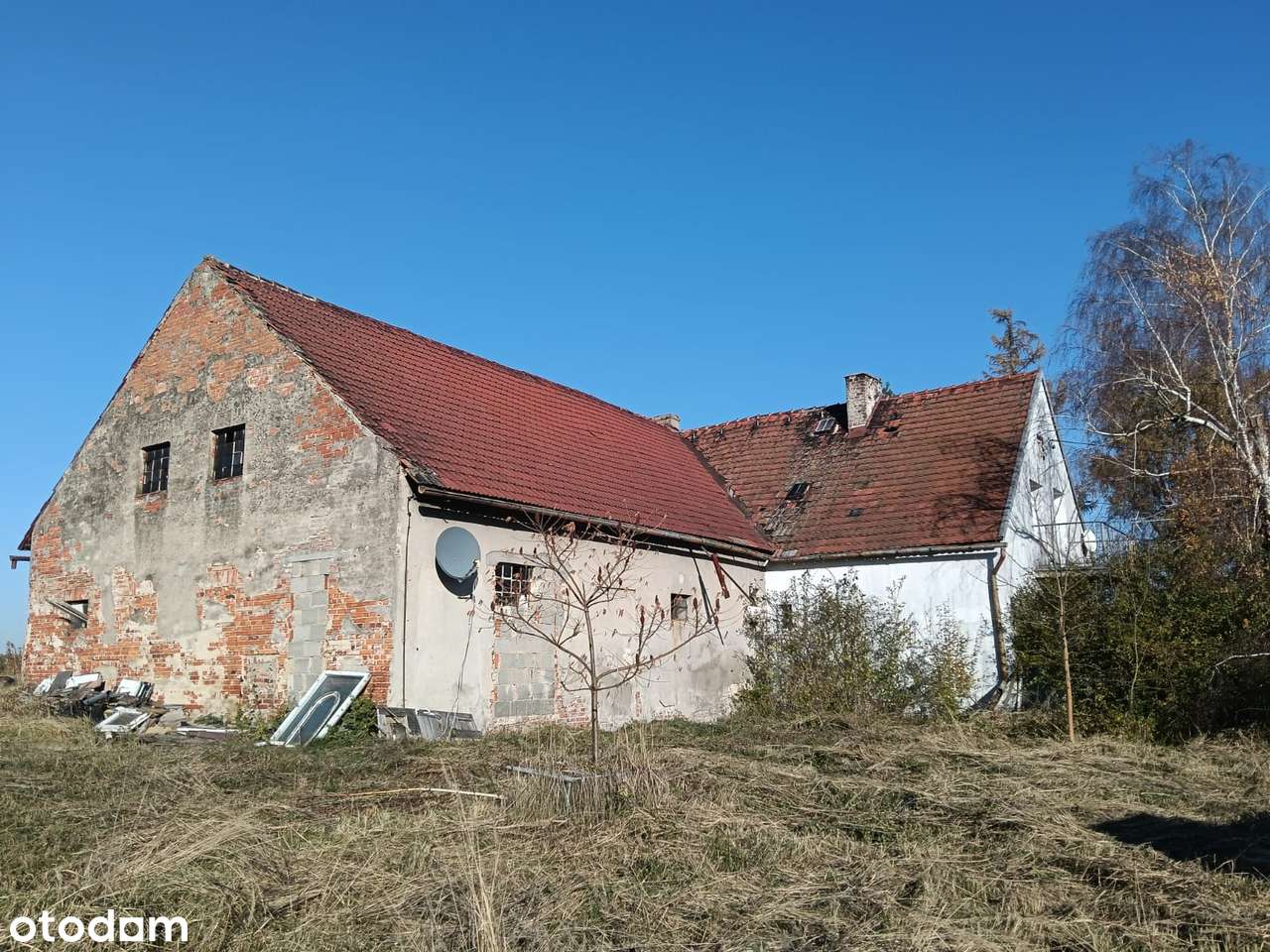 Pniów, nieruchomość przy głównej drodze - Pełny obrazek: 4/7