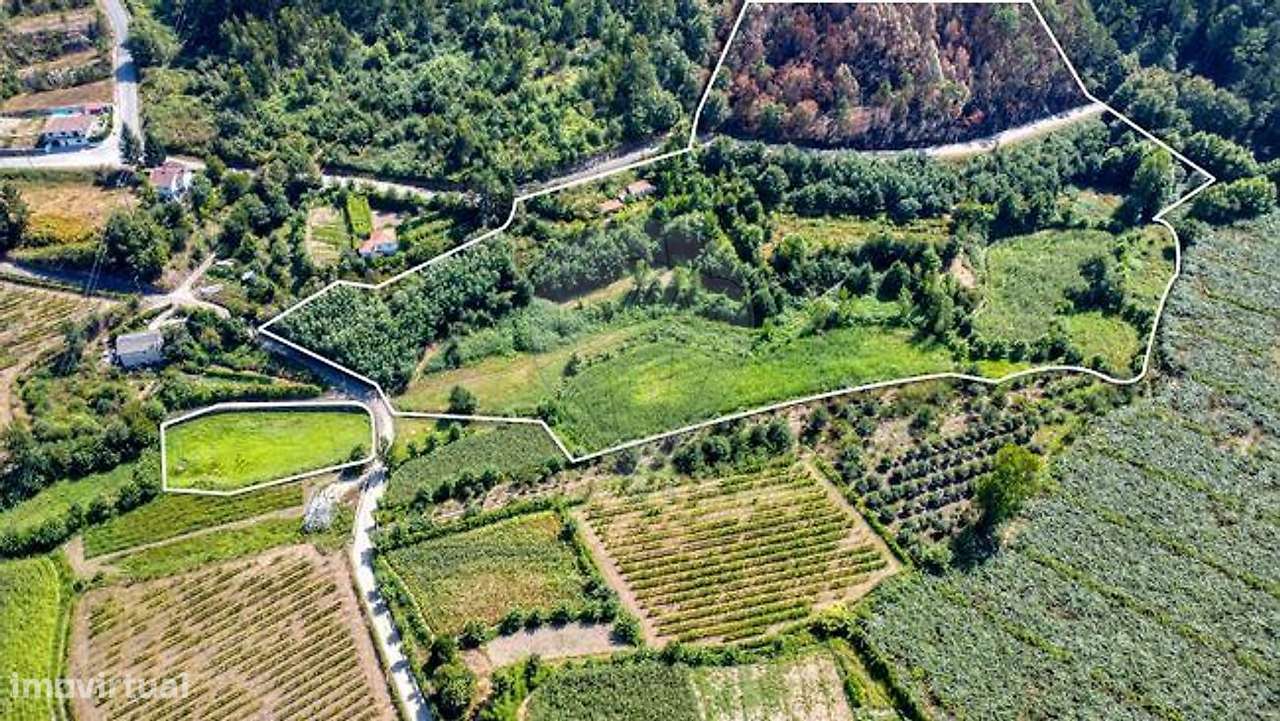 Quinta  para venda - Grande imagem: 3/17