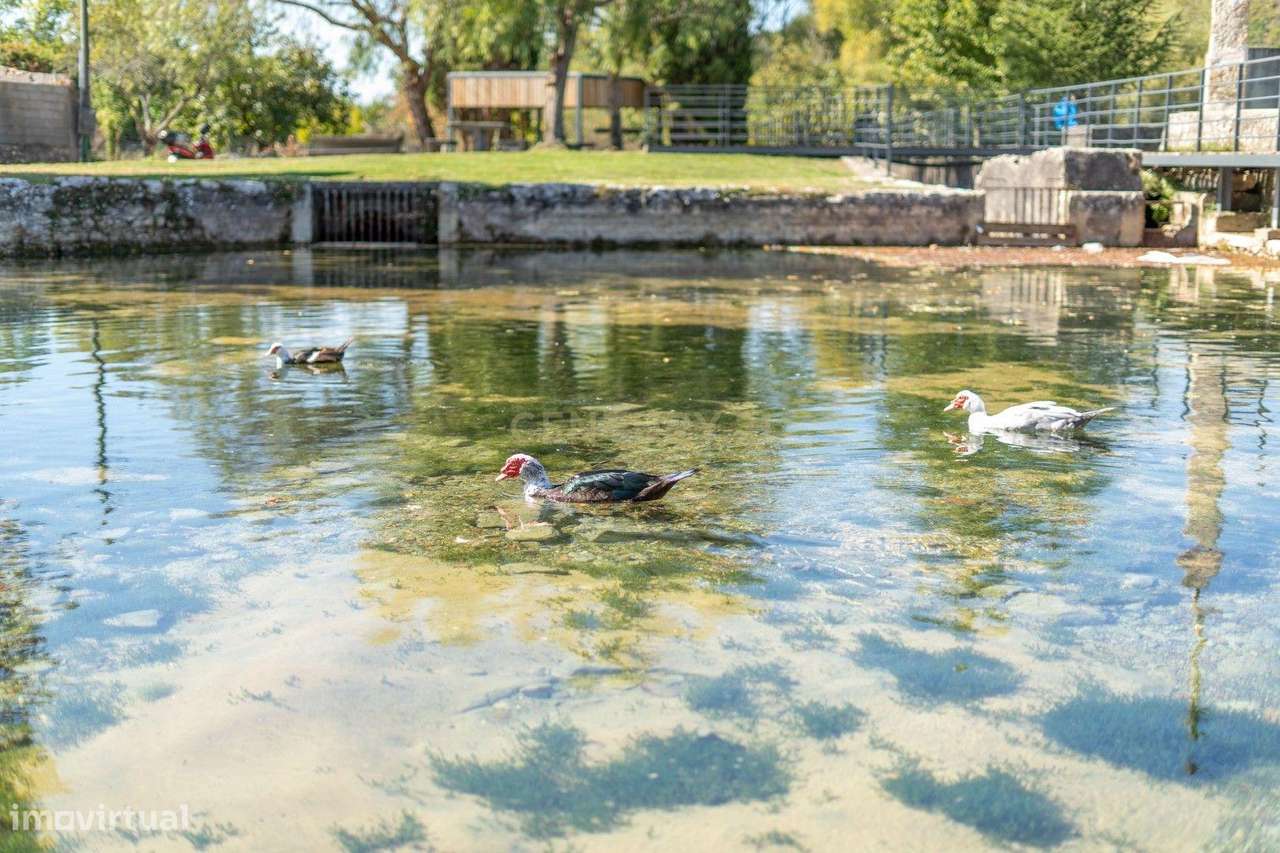 Duas Casas para restaurar, com bons acessos a Condeixa - Grande imagem: 5/25
