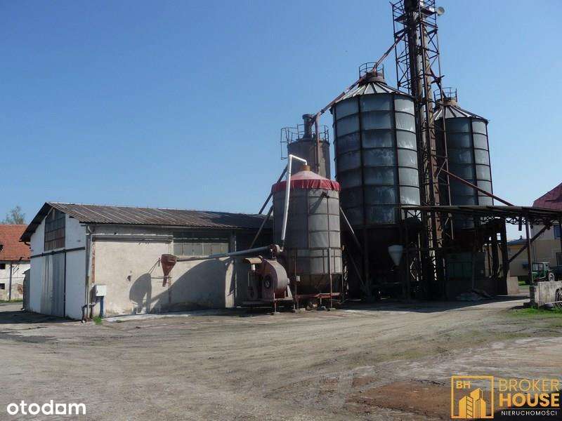 BUDYNKI MAGAZYNOWE - Pełny obrazek: 2/11