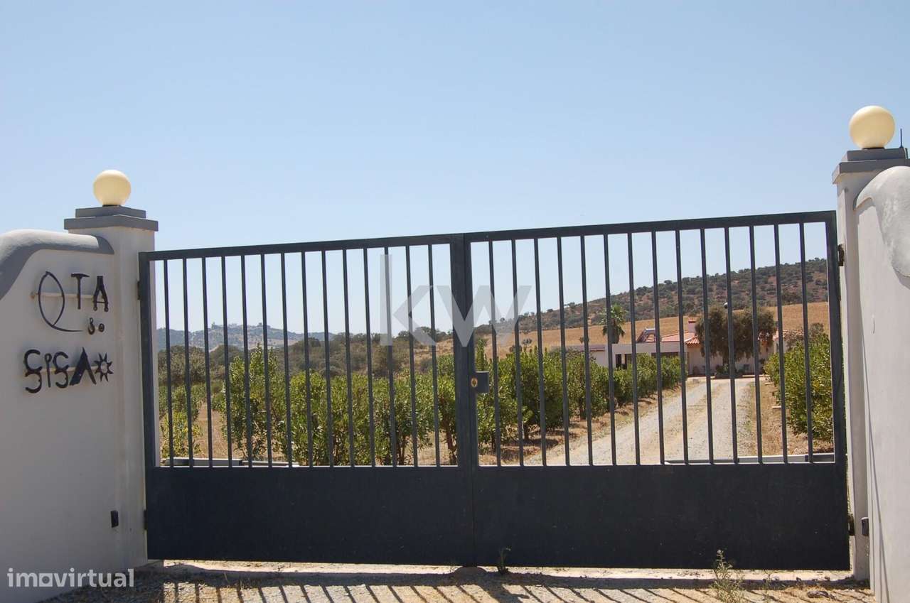 Quinta 12,6 ha, Moradia de um piso, Tipologia T2 com Piscina em Caruja - Grande imagem: 4/60