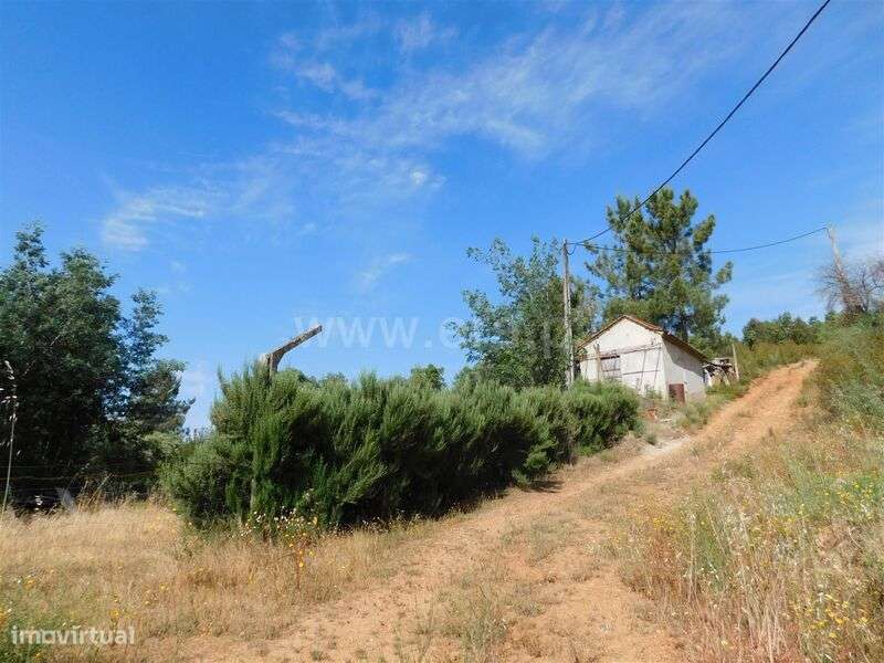 Terreno Rústico / Fundão, Vales Pêro Viseu - Grande imagem: 2/8