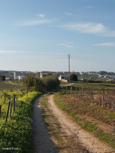 Terreno para Aluguer - Zona Previlegiada